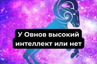 у Овнов высокий интеллект или нет